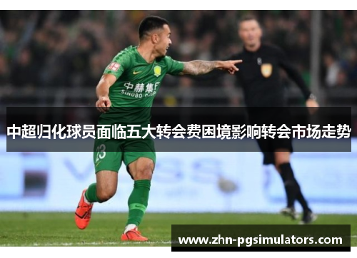 中超归化球员面临五大转会费困境影响转会市场走势