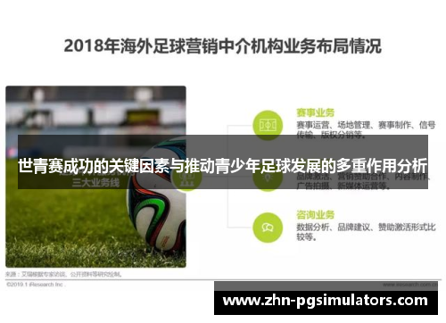 世青赛成功的关键因素与推动青少年足球发展的多重作用分析