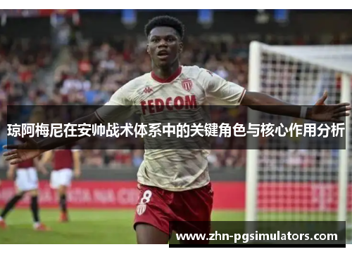 琼阿梅尼在安帅战术体系中的关键角色与核心作用分析