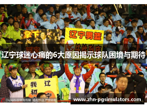辽宁球迷心痛的6大原因揭示球队困境与期待 辽宁球迷心痛的6大原因揭示球队困境与期待