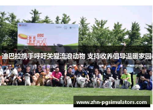 迪巴拉携手呼吁关爱流浪动物 支持收养倡导温暖家园 迪巴拉携手呼吁关爱流浪动物 支持收养倡导温暖家园