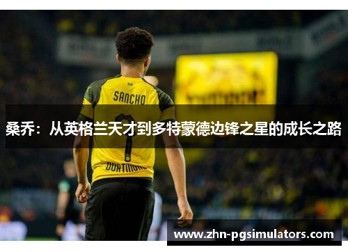 桑乔:从英格兰天才到多特蒙德边锋之星的成长之路 桑乔:从英格兰天才到多特蒙德边锋之星的成长之路